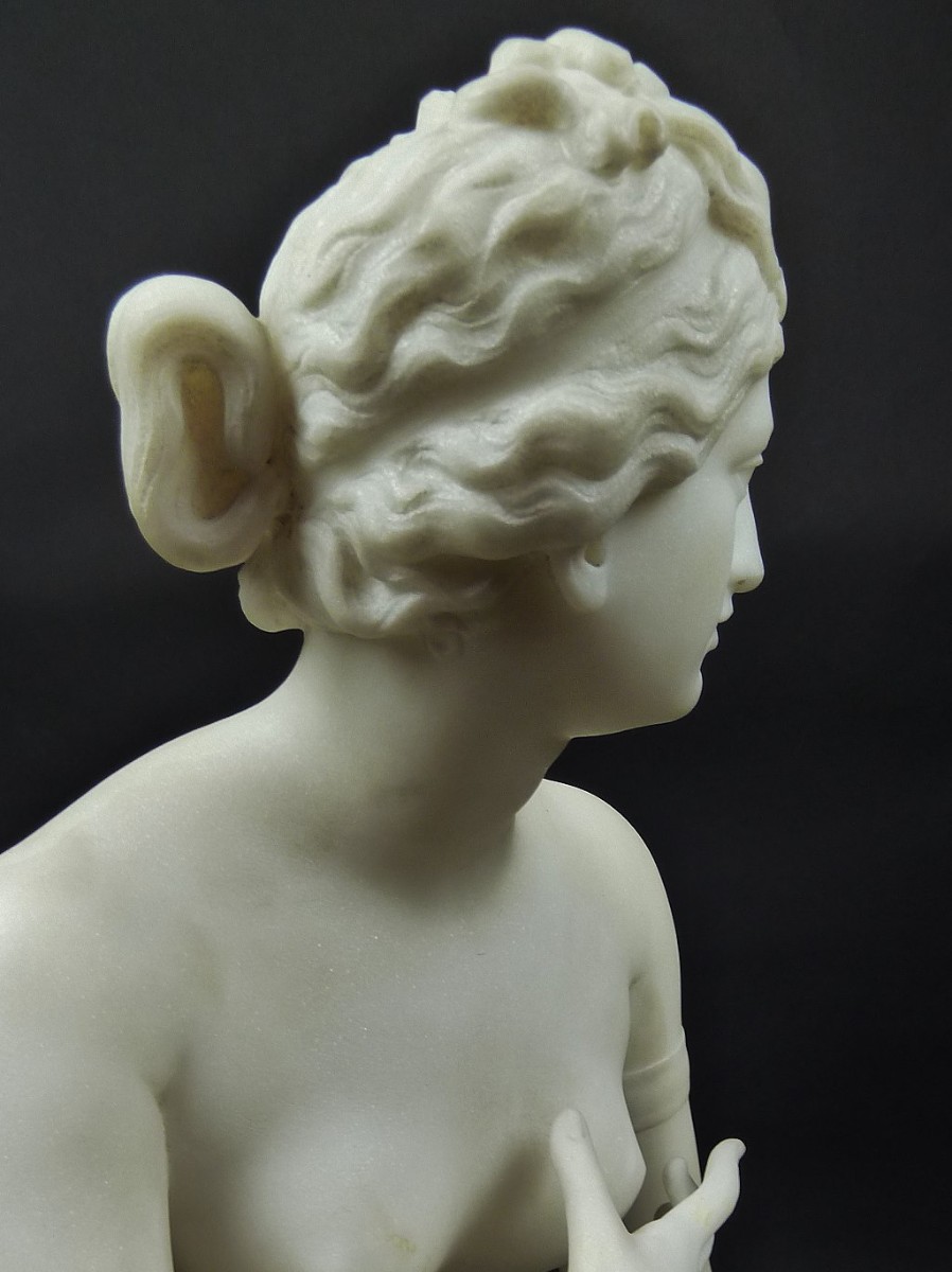 Marble statue of Venus